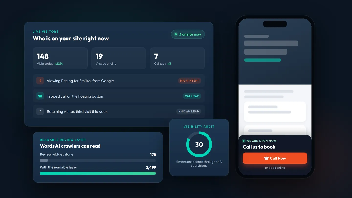 Agentic Growth Engine custom tools: a live visitor dashboard, a readable review layer for AI crawlers, a 30-dimension visibility audit, and a mobile call-to-book button